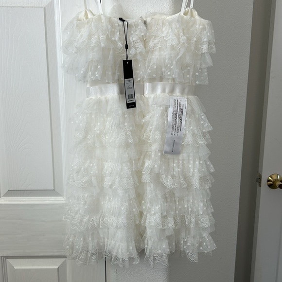 🆕 BCBG MAXAZRIA
Strapless Ruffled Tulle Mini Dress - Picture 9 of 9